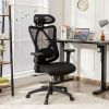 High Back Mesh Executive Chair with Adjustable Lumbar Support