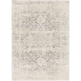 5' x 7' Distressed Oriental Area Rug in Light Grey / Beige