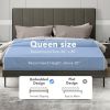 Queen Size Upholstered Bed Frame with Tufted Headboard